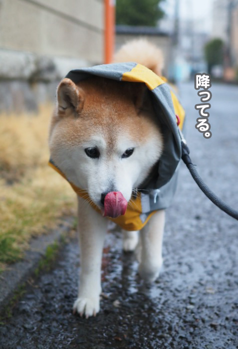 24日夕ブログ２