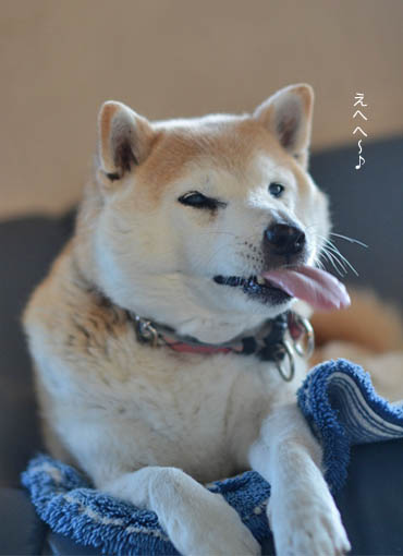 19日ブログ3.jpg