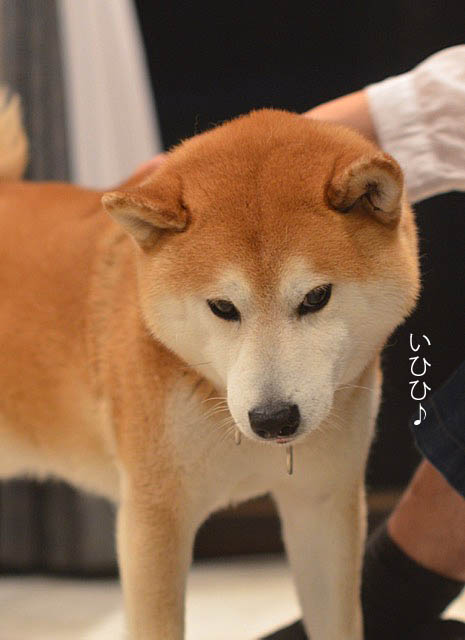 23日ブログ7