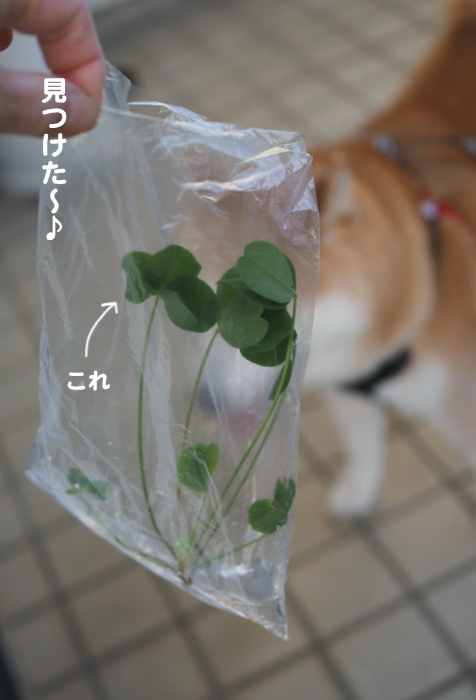 14日ブログ２