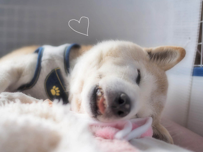 16日ブログ５
