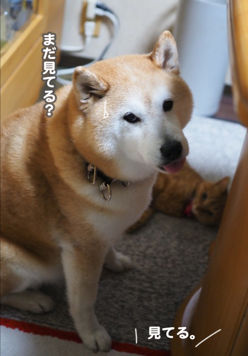 3日ブログ４