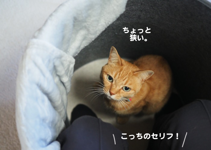 4日夕ブログ８