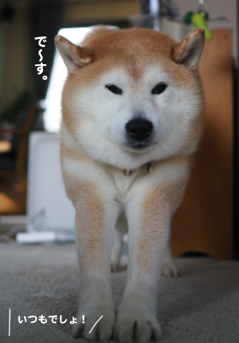 14日夕ブログ５