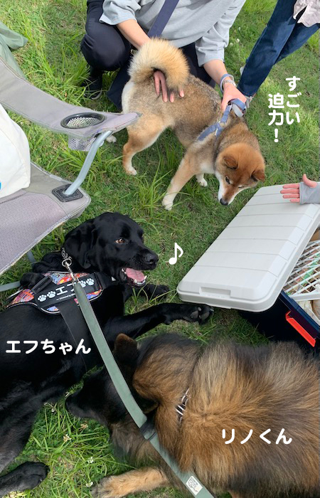 12日夕ブログ１０