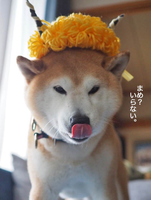 3日夜ブログ2