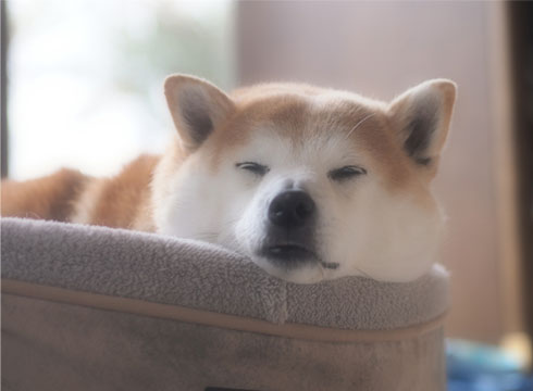 5日ブログ3.jpg