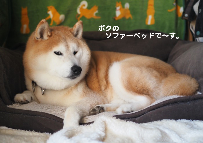 20日夕ブログ２