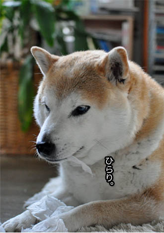 19日ブログ７.jpg