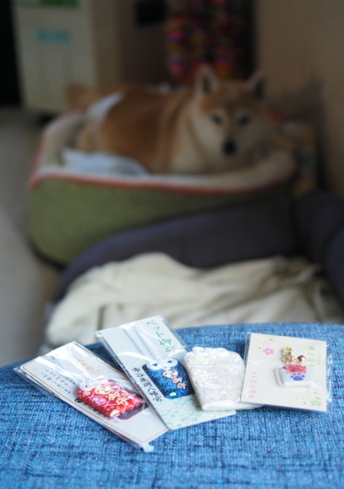 12日夕ブログ11
