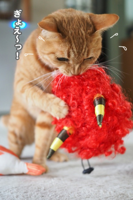 3日ブログ７