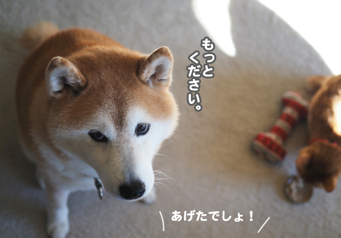 26日夕ブログ８