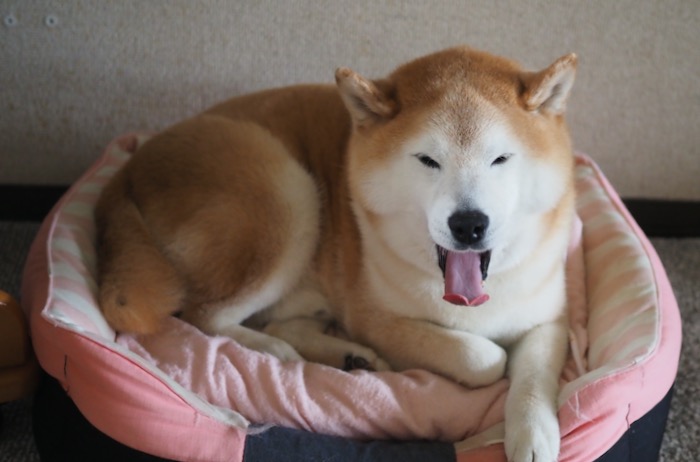 30日夕ブログ７