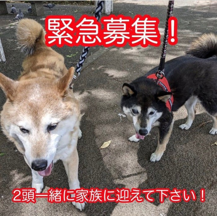 20日ブログ２