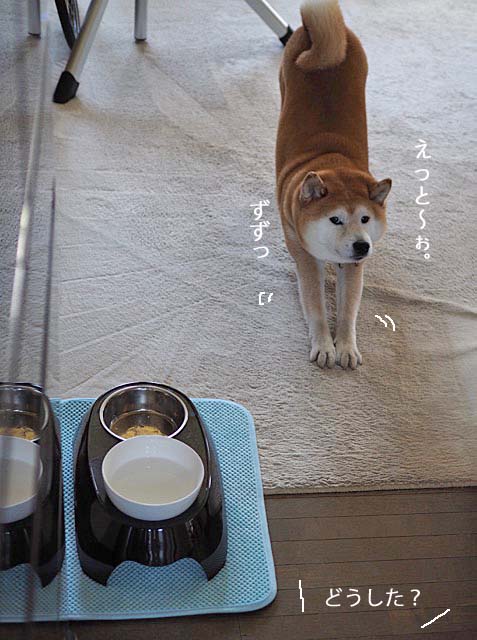 21日ブログ3
