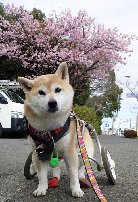 25日ブログ２