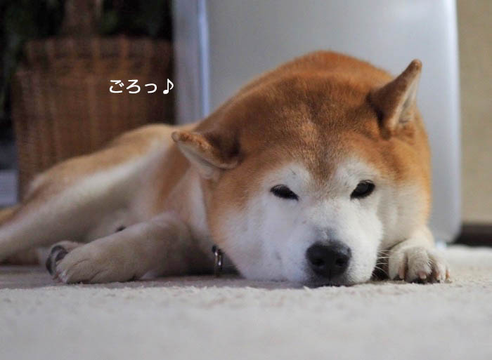 27日午後ブログ３