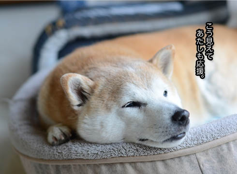 26日ブログ7.jpg
