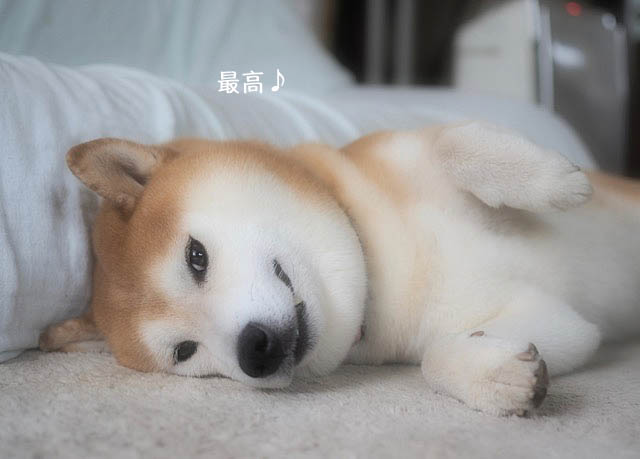 19日ブログ6