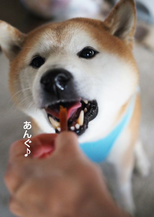 15日夕ブログ５