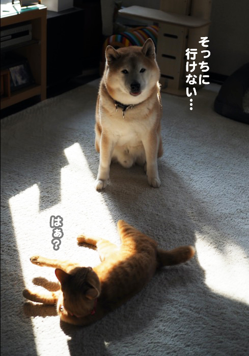 17日夕ブログ３