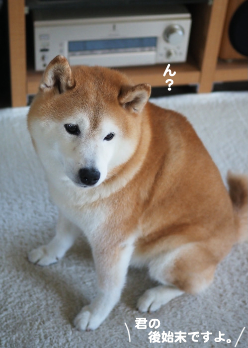 1日夕ブログ６
