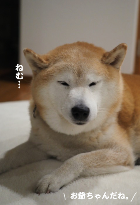 13日夕ブログ２