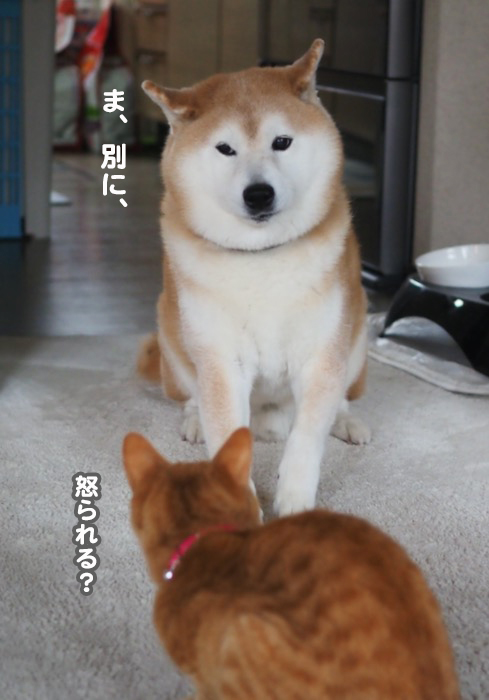 30日夕ブログ７