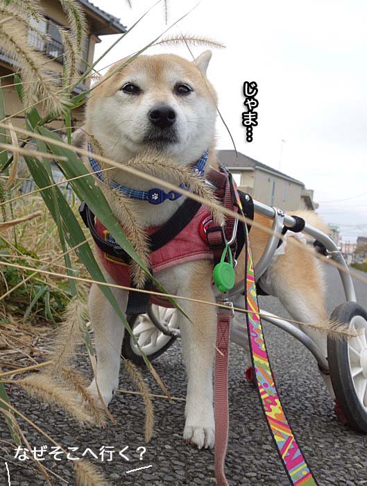 5日夜ブログ４