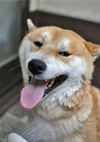 27日ブログ2.jpg