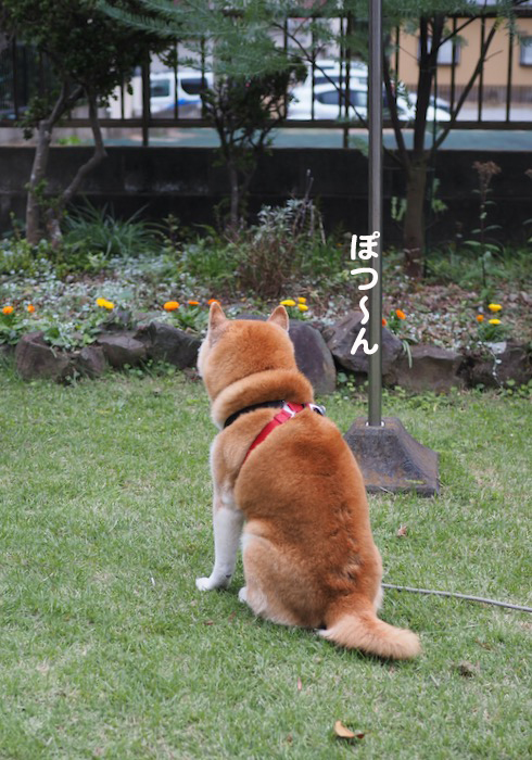 7日夕ブログ２５