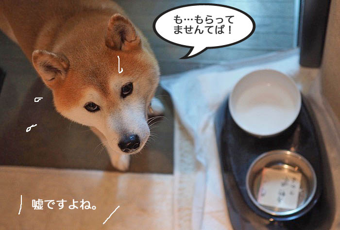 22日ブログ６