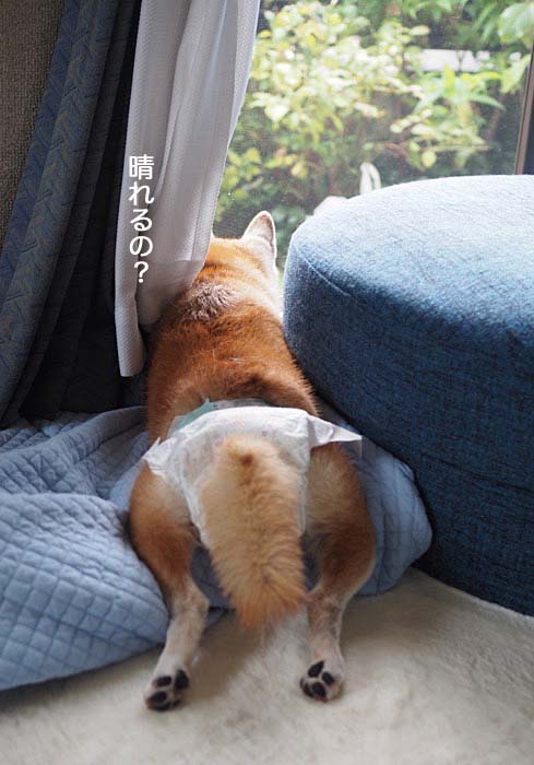 19日ブログ２