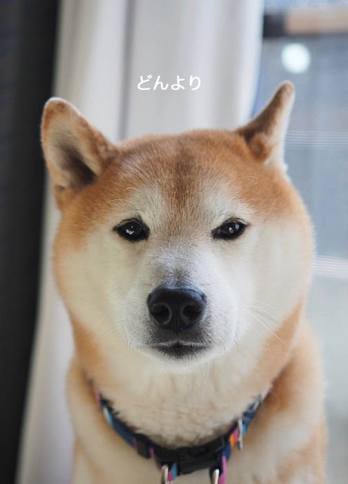 11日ブログ５