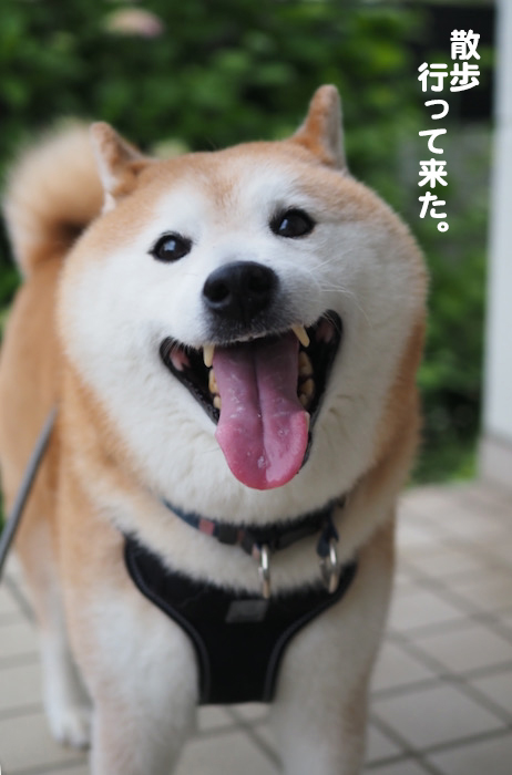1日午前ブログ４