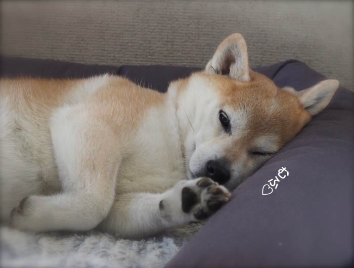 15日夜ブログ３