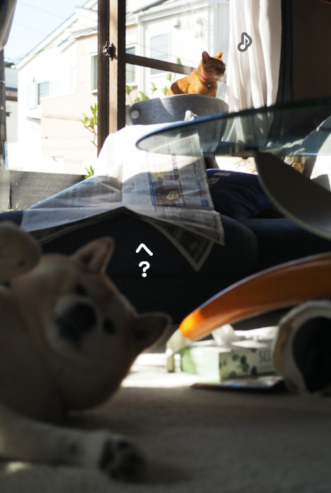 8日夕ブログ２