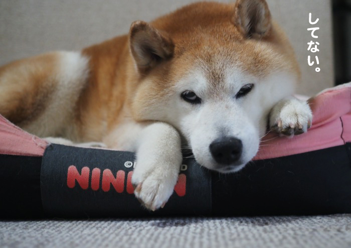 18日ブログ１