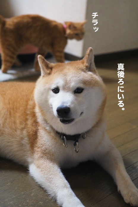 19日ブログ５