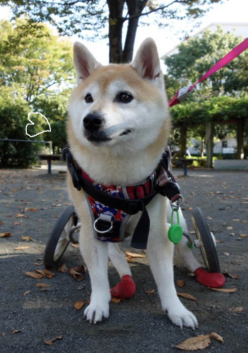 3日ブログ３