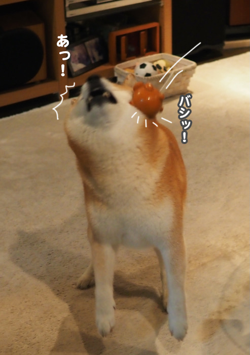 4日夜ブロ１１