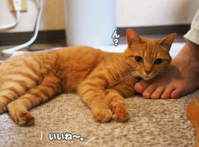 1日夕ブログ６