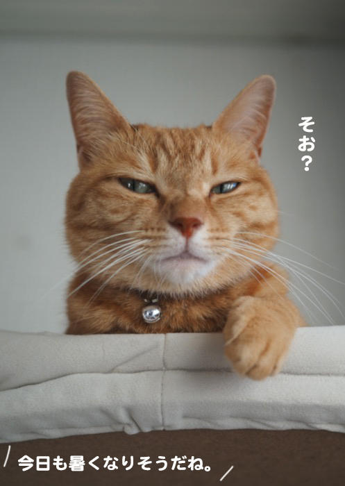 22日ブログ３