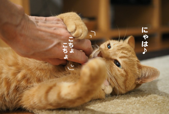 16日夕ブログ５