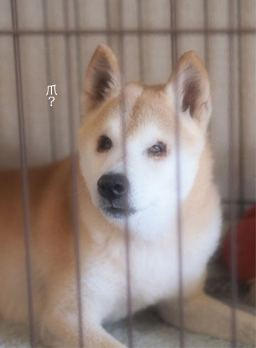 8日ブログ13.jpg