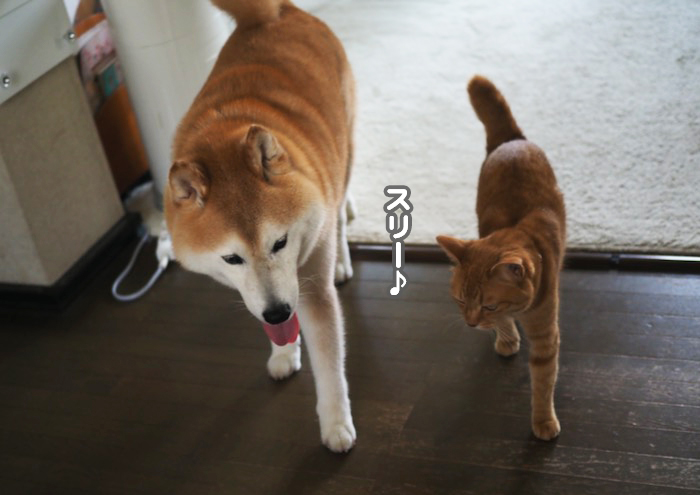 21日ブログ３