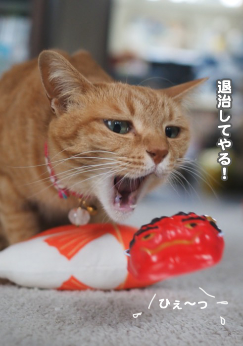 3日夕ブログ８