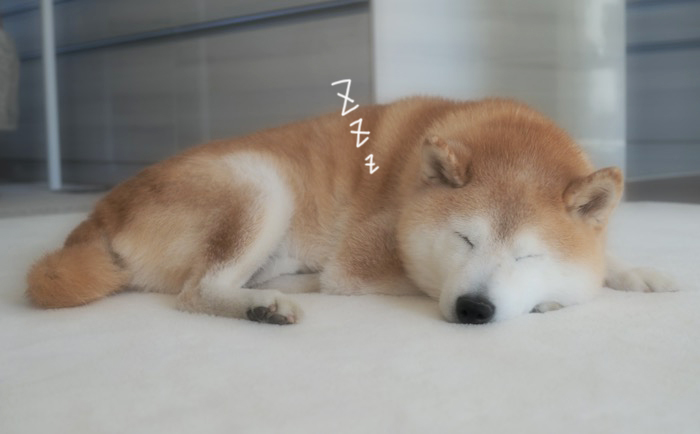 24日ブログ２