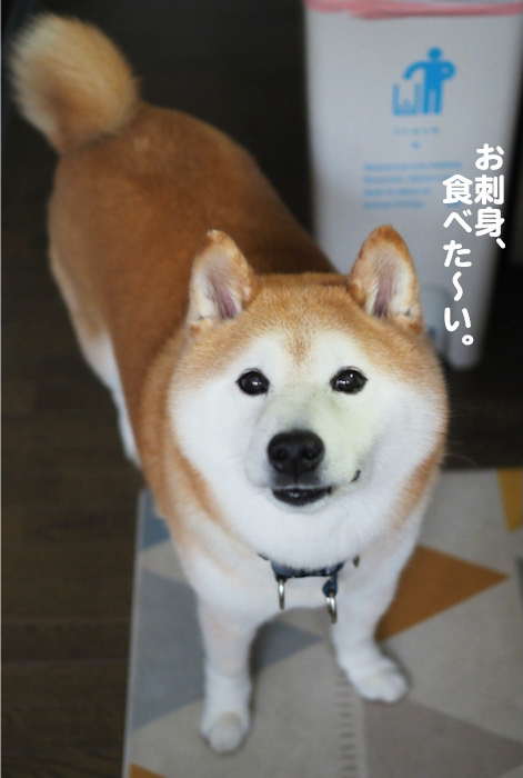 18日夜ブログ４