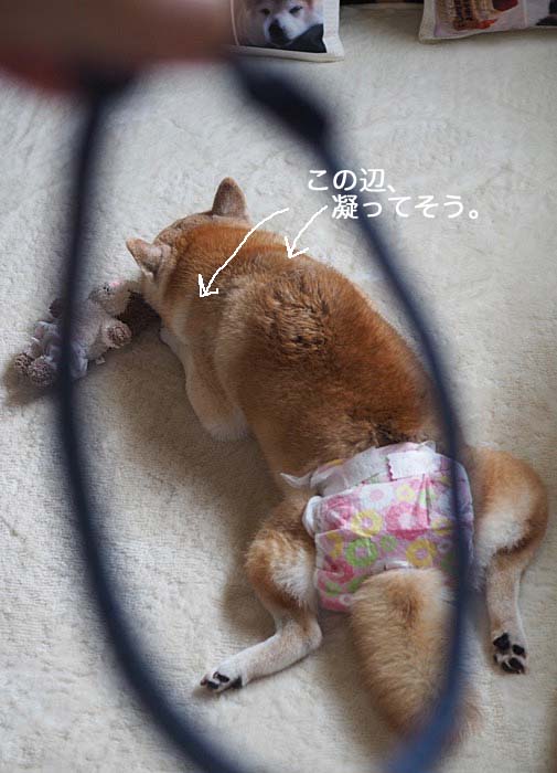 4日ブログ11